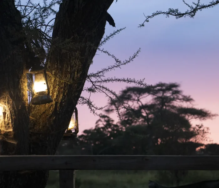 Baobab Central Sunset