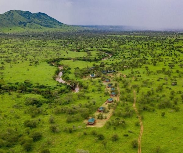 Embalakai Ngorongoro Camp 5