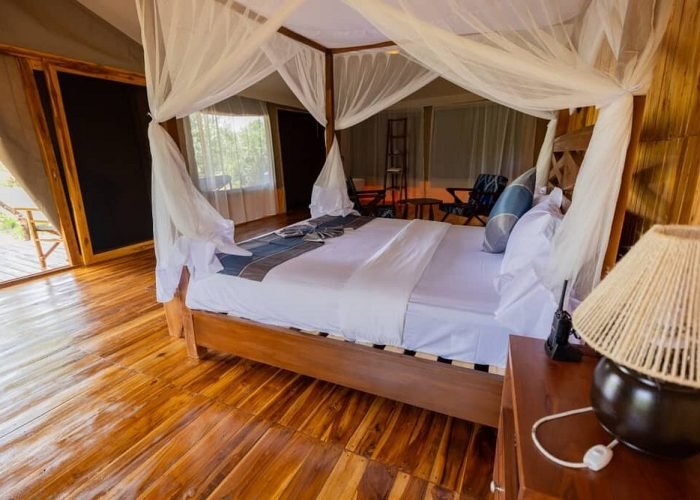 Safari Haven Migration Camp