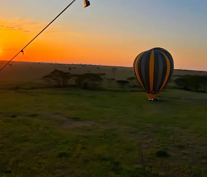 balloon safari