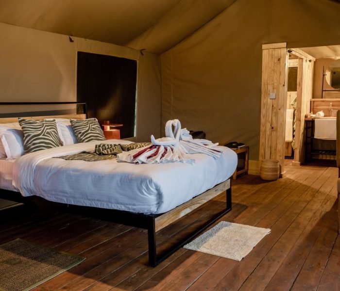 baobab luxury safari